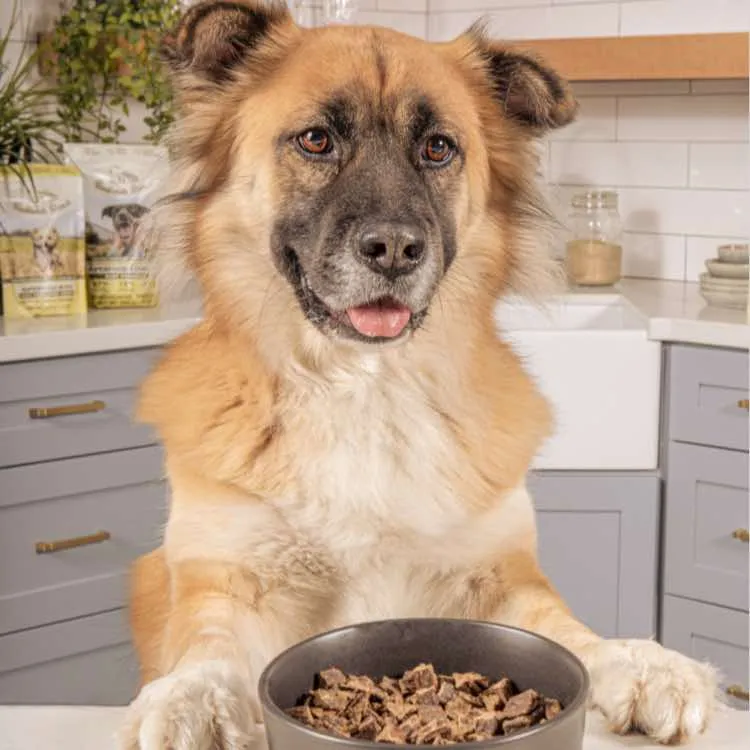 Badlands Ranch Air Dried Beef Dog Food