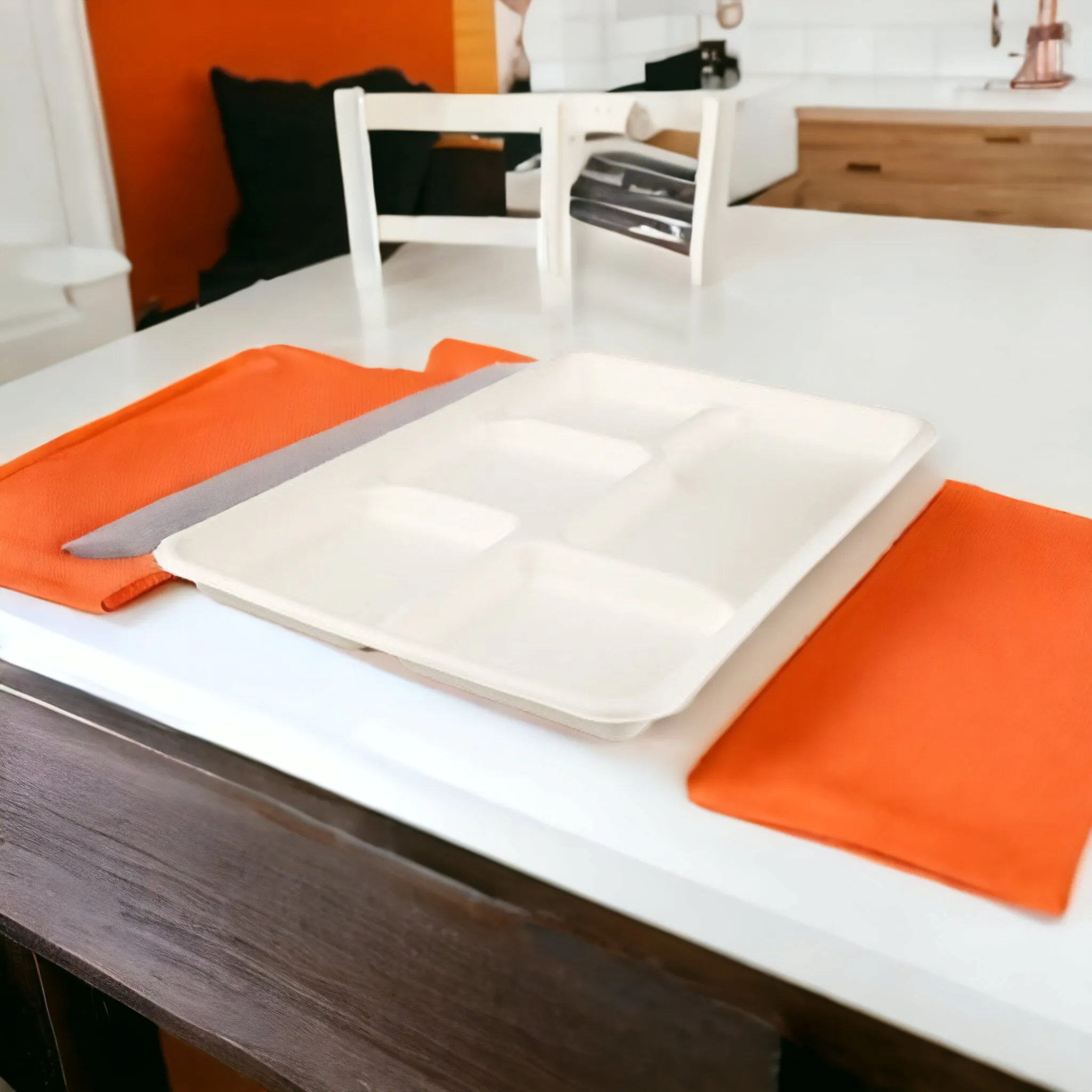Biodegradable Sugar Cane Serving Platter 5-Compartment Airliner Tray Small 10pack