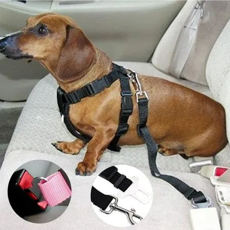 Dog Seat Belt - Crash Tested Safety Dog Car Harness