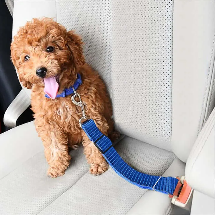 Dog Seat Belt - Crash Tested Safety Dog Car Harness