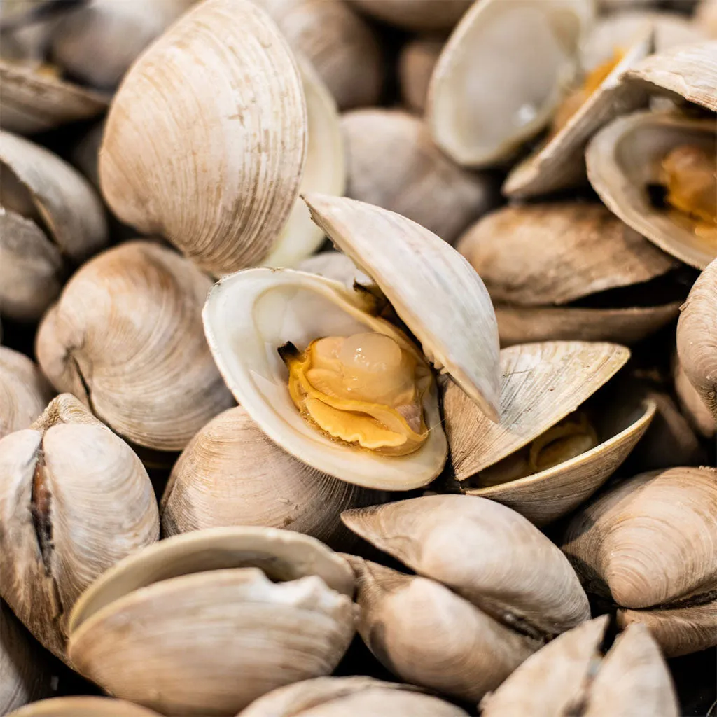 Island Creek Littleneck Clams w/ Confit Garlic, Chili, and Olive Oil