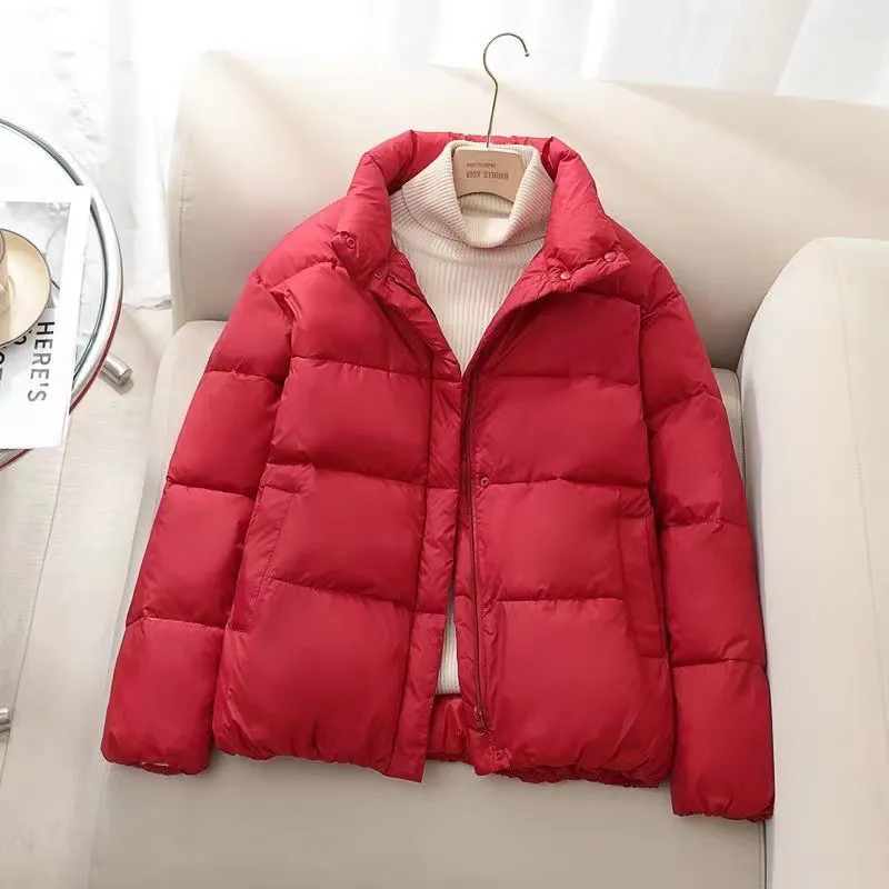 Simplicity Thickened Cropped Puffer Jacket