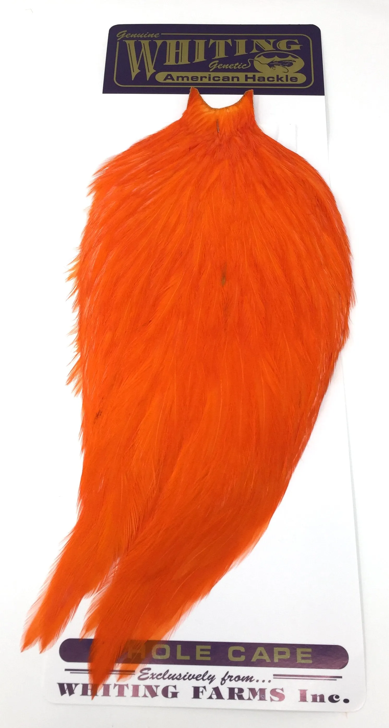 Whiting American Rooster Cape