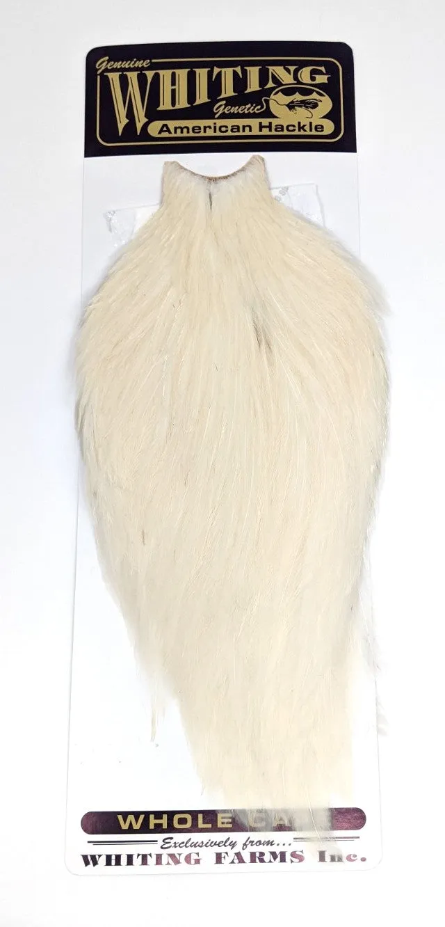 Whiting American Rooster Cape