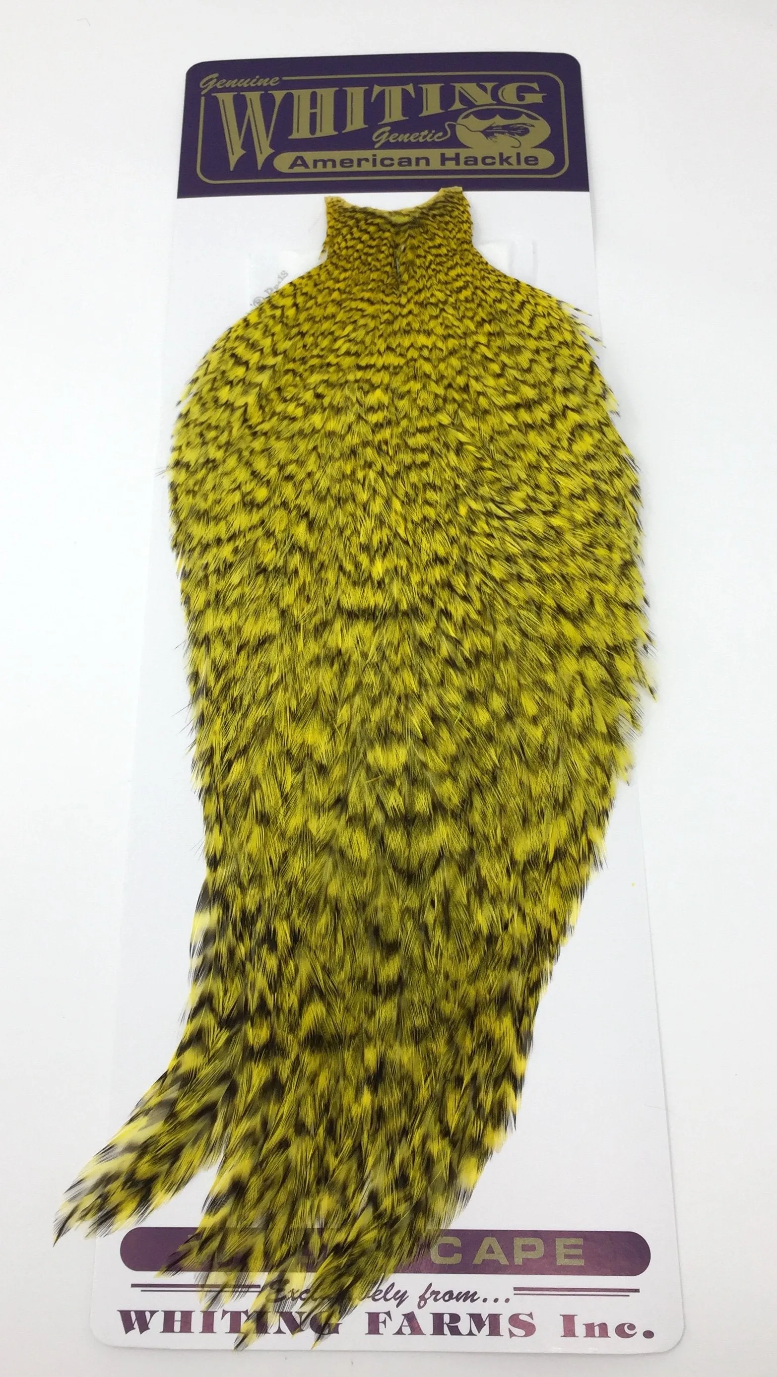 Whiting American Rooster Cape