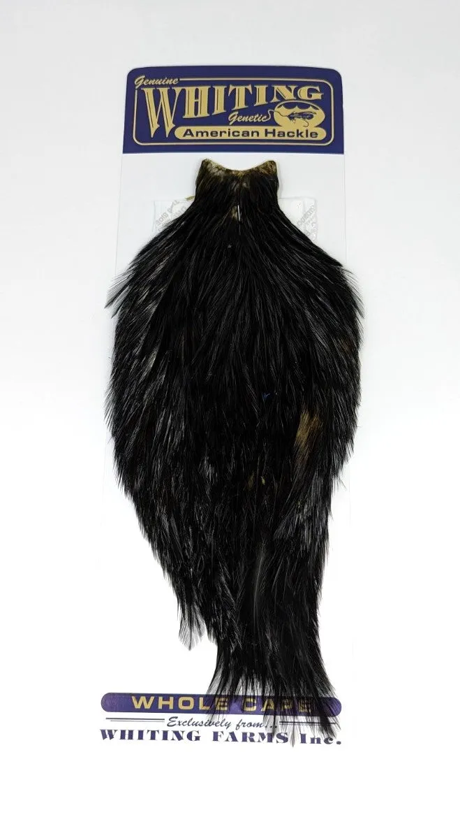 Whiting American Rooster Cape