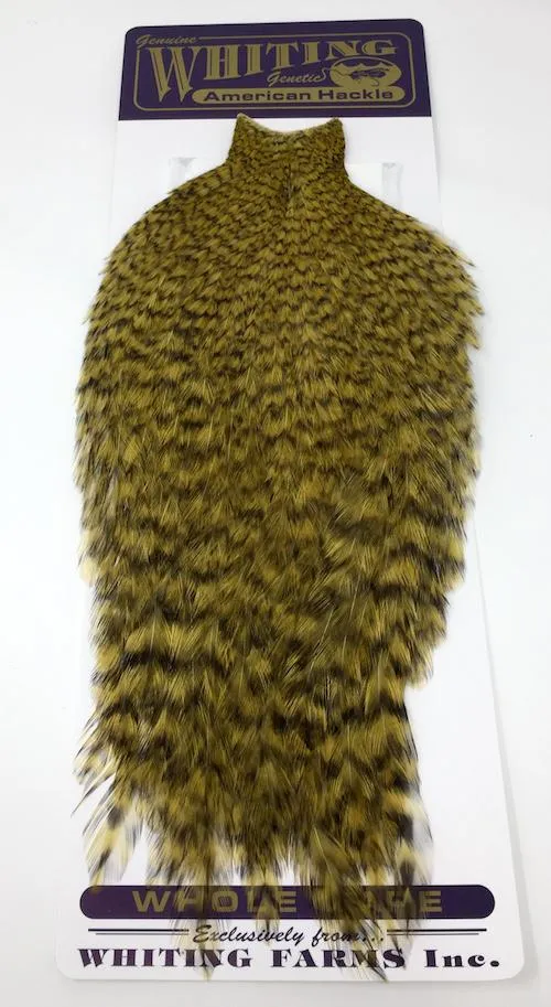 Whiting American Rooster Cape
