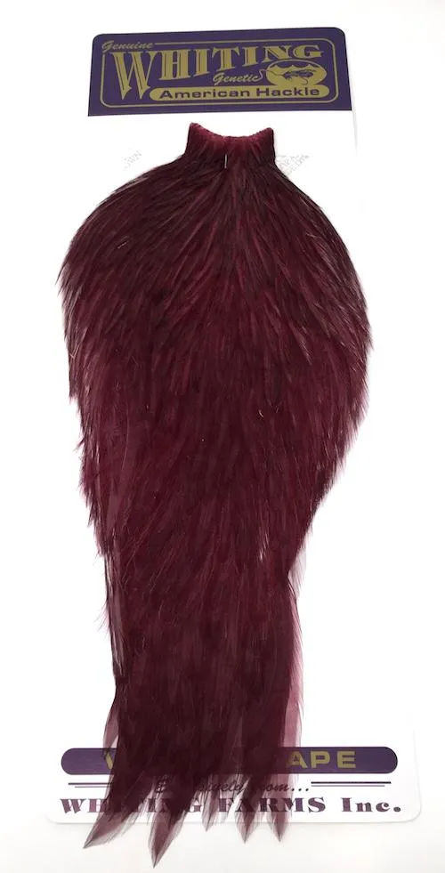 Whiting American Rooster Cape