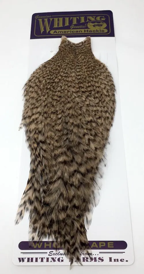 Whiting American Rooster Cape