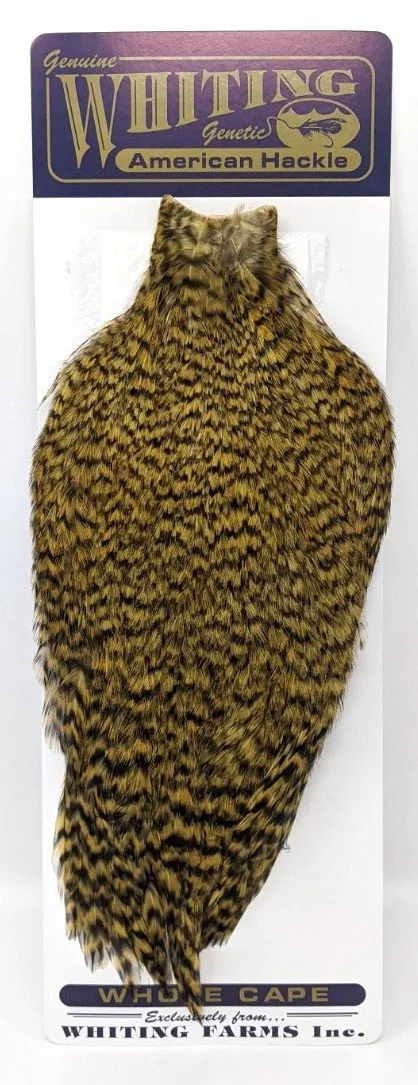 Whiting American Rooster Cape