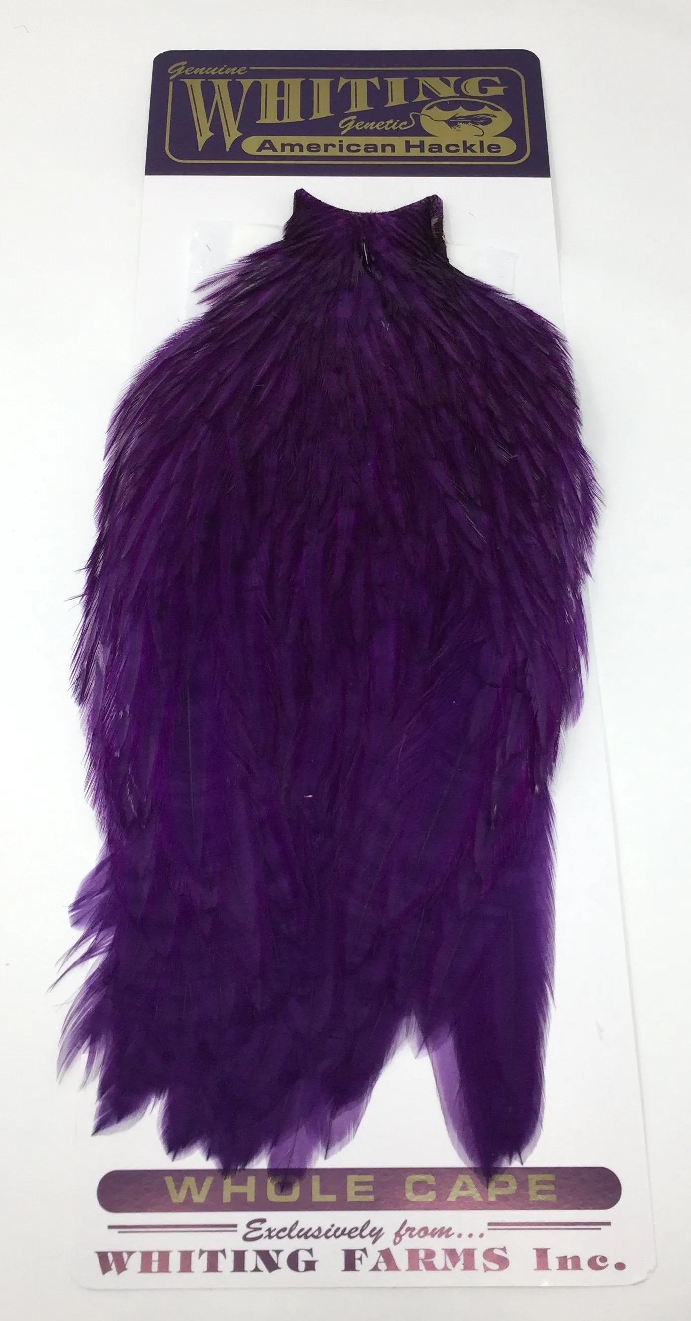 Whiting American Rooster Cape