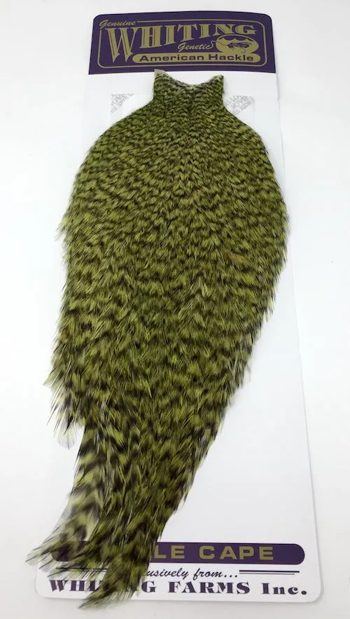 Whiting American Rooster Cape