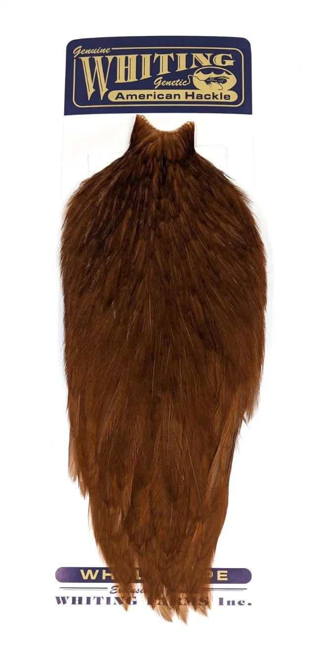 Whiting American Rooster Cape